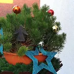 Lägenhet Karibu