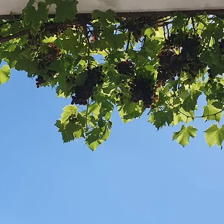 Karibu Apartman Tiefenthal