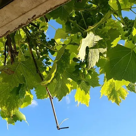 Karibu Tiefenthal (Bad Durkheim)