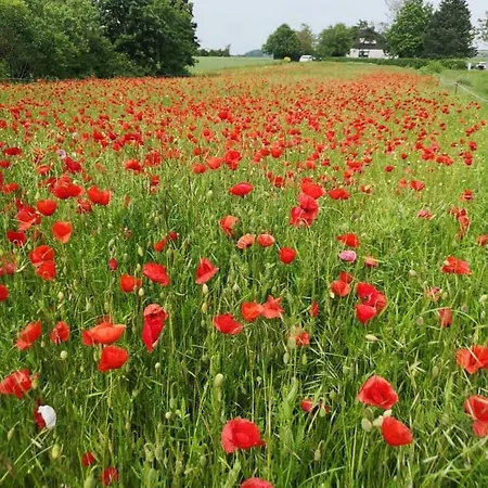 Апартаменты Karibu