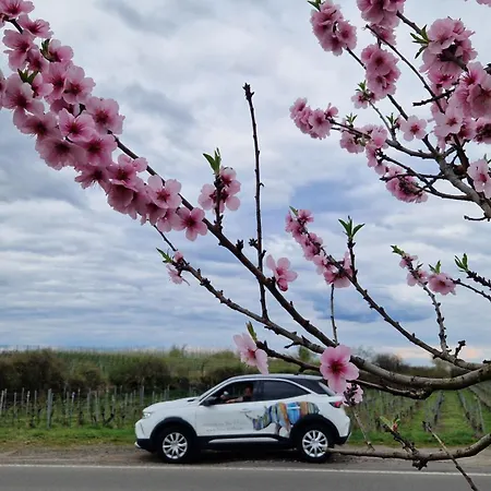 Апартаменты Karibu