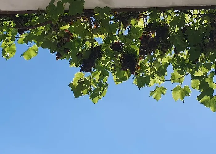 Karibu Apartment Tiefenthal (Bad Durkheim)