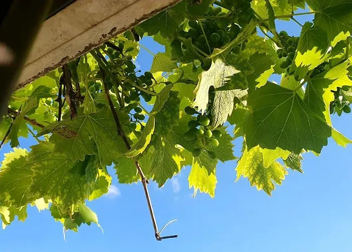 Karibu Tiefenthal (Bad Durkheim)