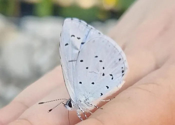 Karibu Tiefenthal (Bad Durkheim)